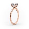 The Nicole Set With A 4.5 Carat Oval Moissanite Hot on Sale